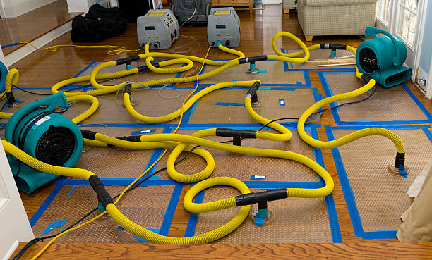 Professional Crawl Space Water Removal technician working in Springdale, PA